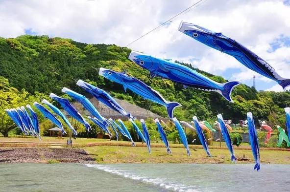 鲣鱼口感,美味的鲣鱼