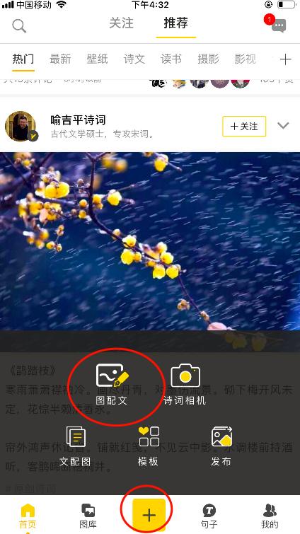 个性签名设计个性印章,自制印章个性签名