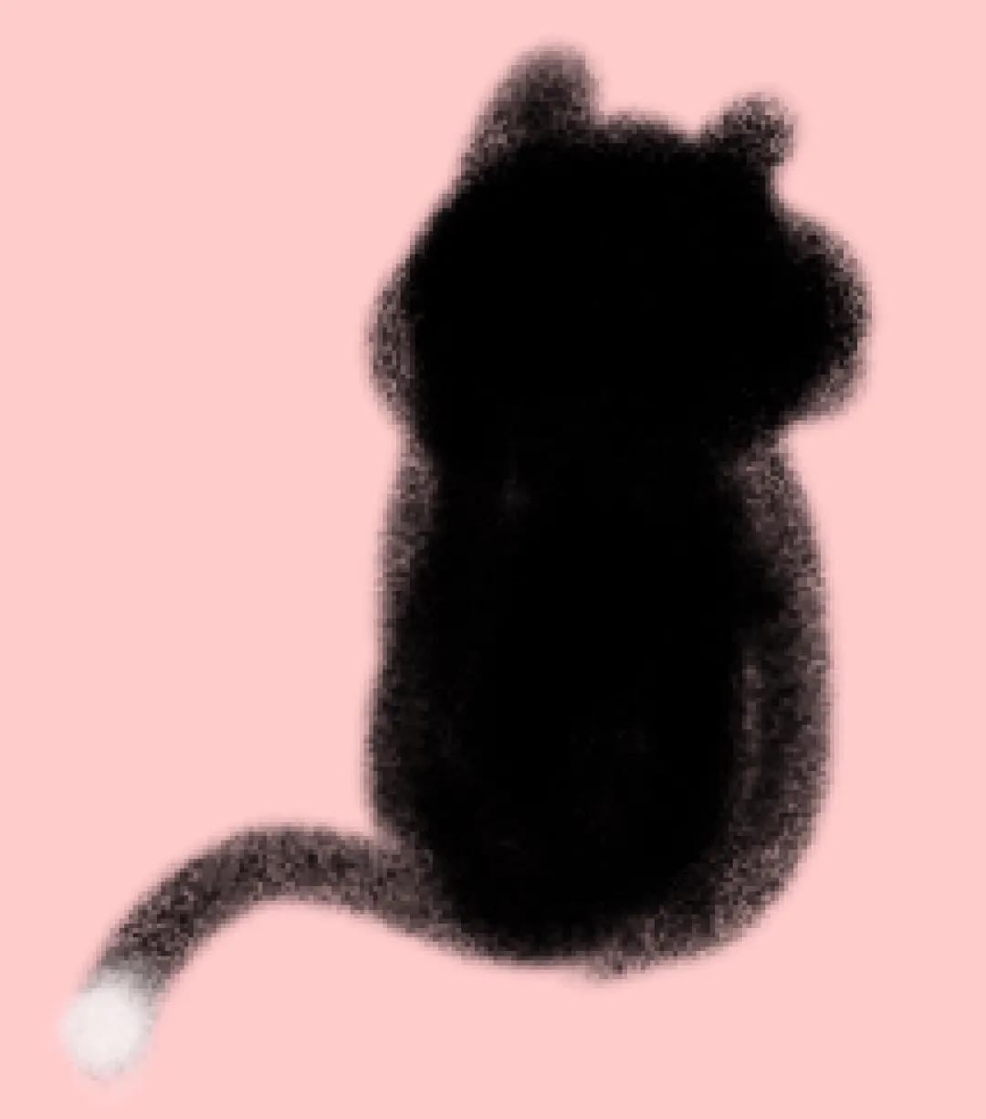 中国猫的雅称,猫生百态包括什么