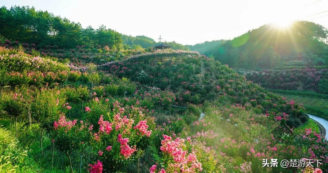 湖北景点应届毕业生免费有哪些,应届毕业生可以免费去哪些景区