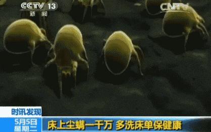 床上有螨虫身上痒用什么药来洗,身上痒可能床上有螨虫怎么解决啊