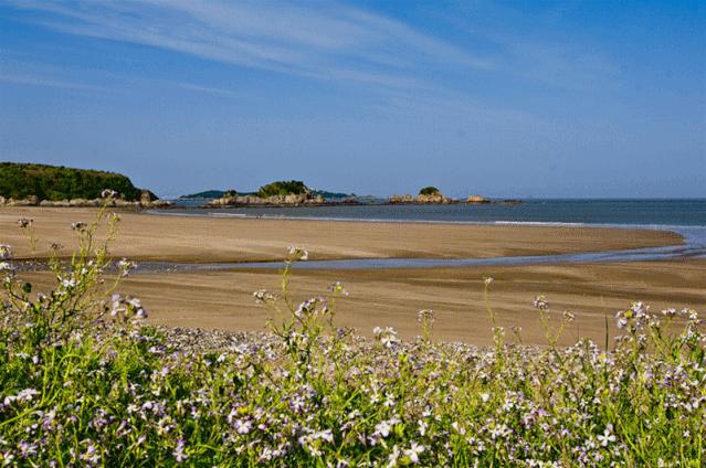 舟山副市长方维,5月23日在驴妈妈直播间带你“舟游列岛gou”!