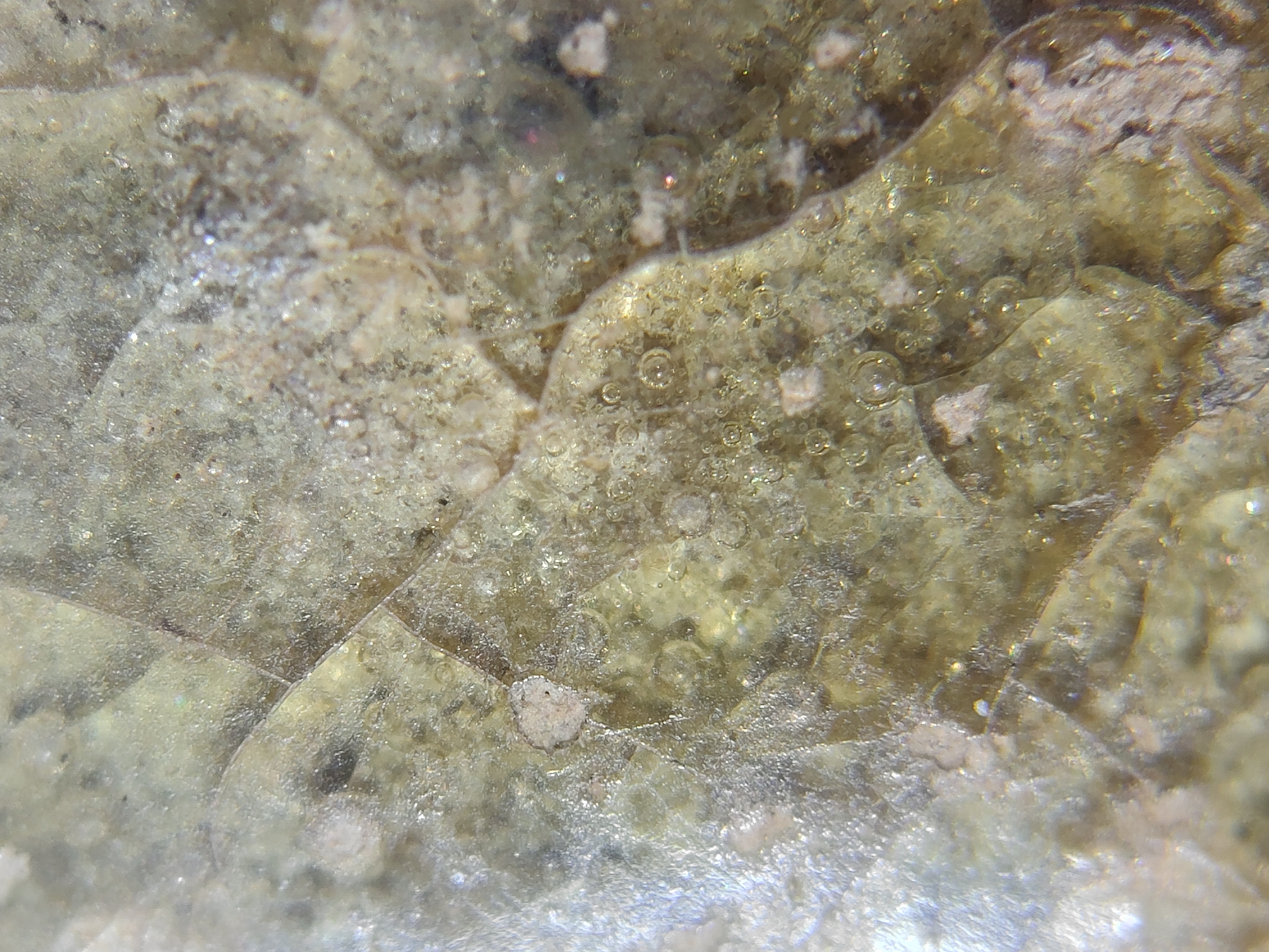 东汉原始青瓷三足盖鼎,西汉原始青瓷双耳尊