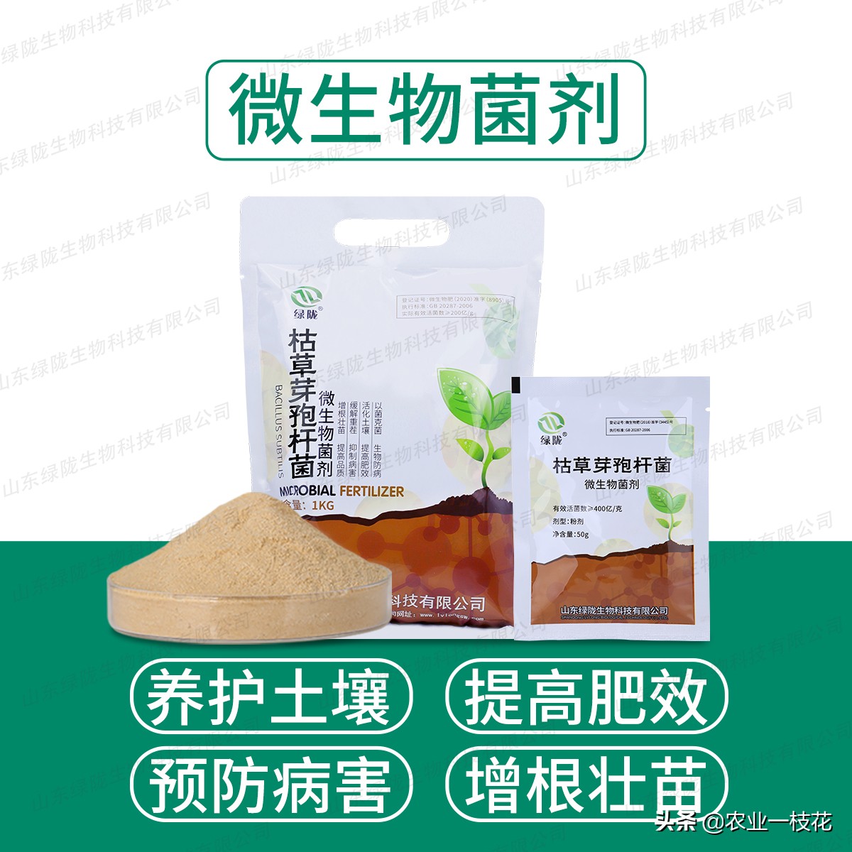 春雷王铜能治大蒜的软腐病吗,大蒜细菌性软腐病