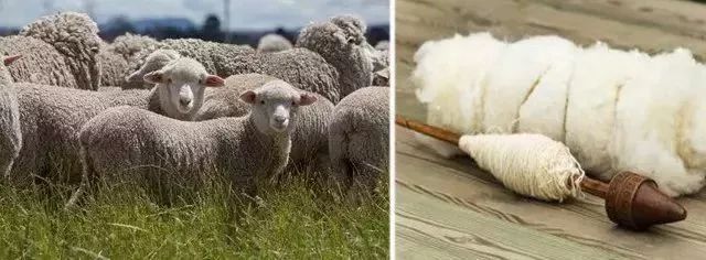 西服穿完以后怎么打理,西服穿久怎么处理焕然一新