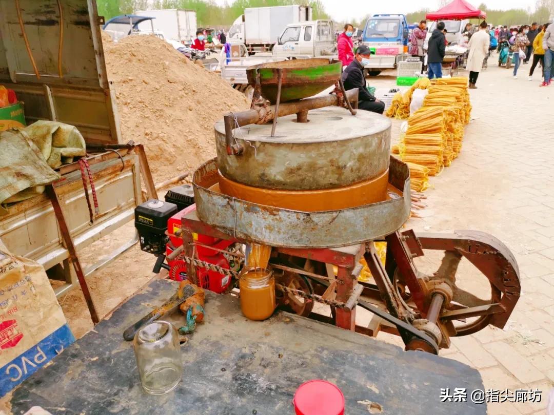 廊坊杨税务集市,在早市遇见久违的人间烟火气