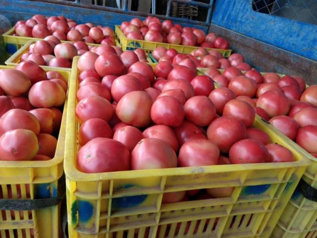 清水县特色美食,清水县美食攻略