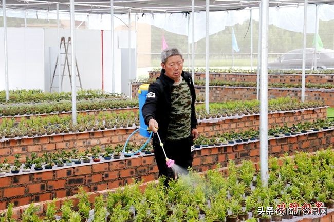 绀句氦鐢靛晢骞冲彴鍒涗笟鏈轰細,绀句氦鐢靛晢鍔╁姏涔℃潙鎸叴