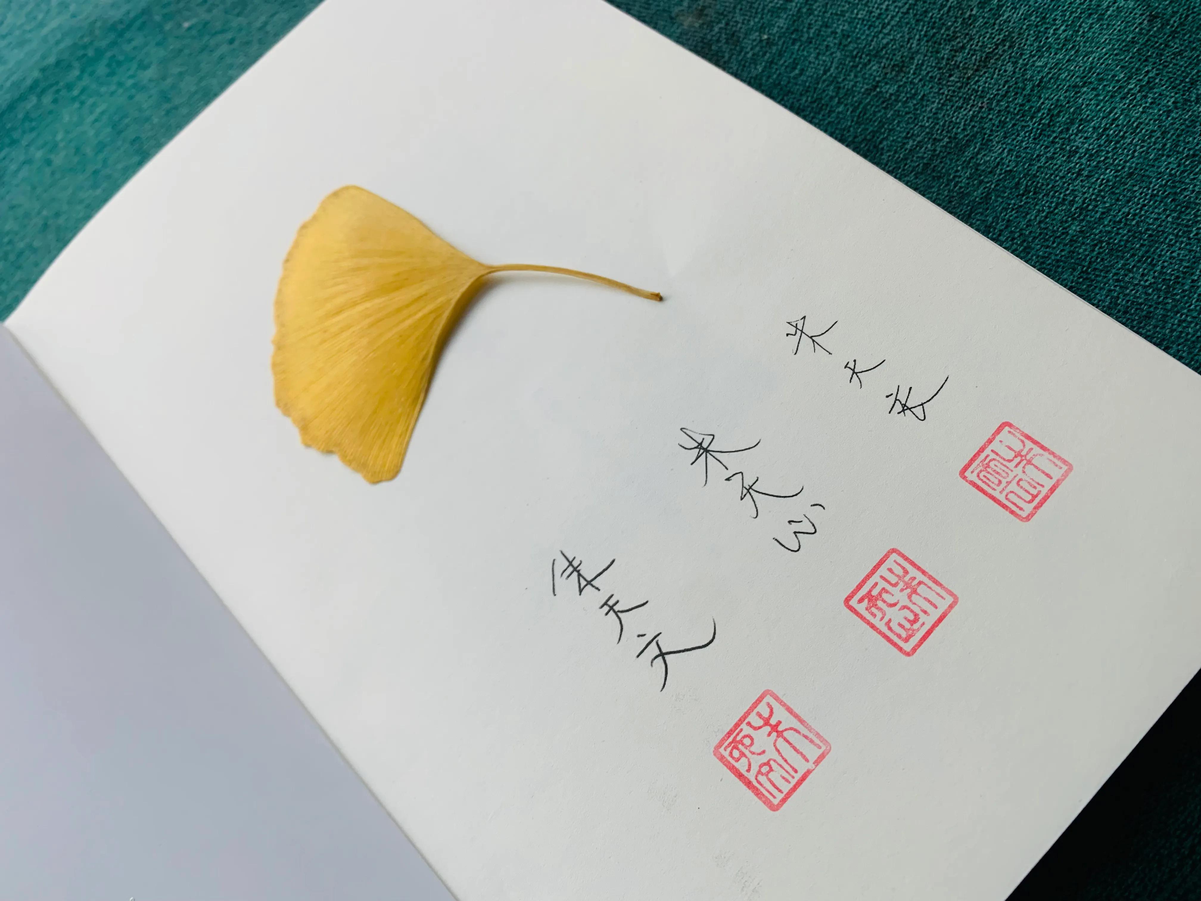 温暖的冬日美文,温暖的冬日散文