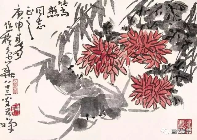 100种漂亮花卉图片,100张漂亮花图