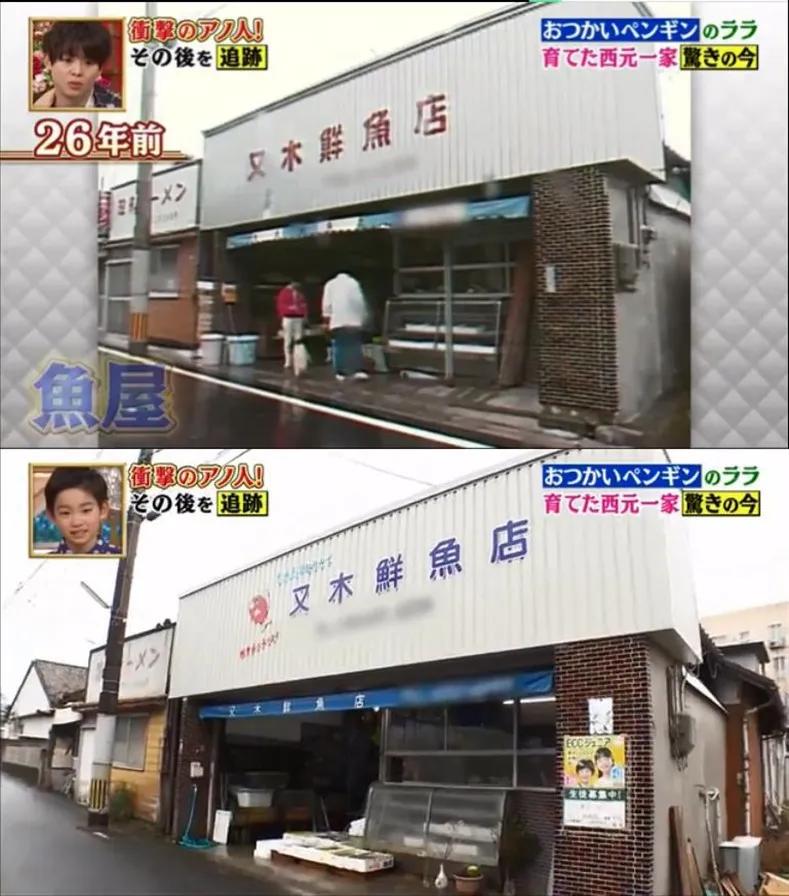 去世的企鹅复活,死去的企鹅