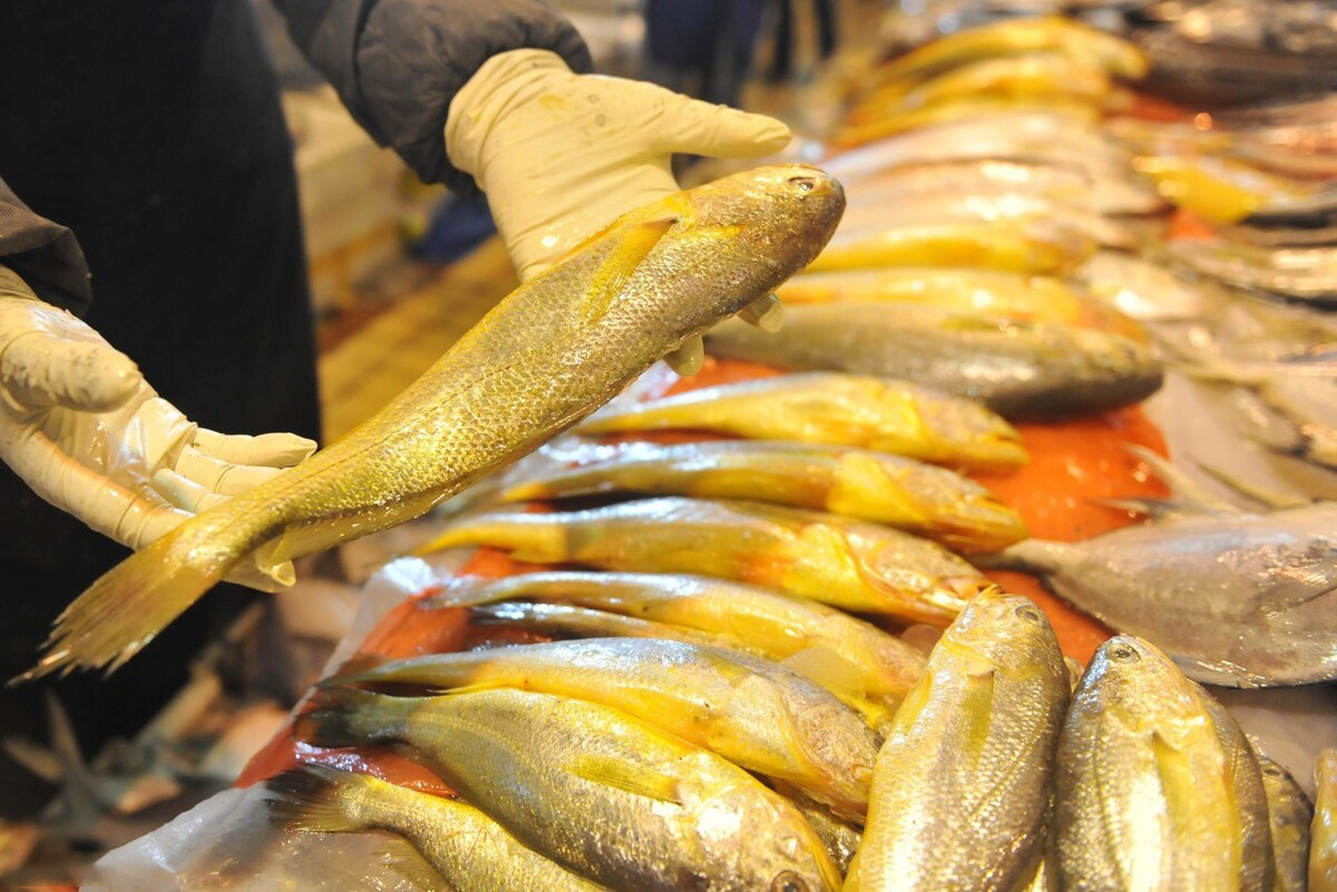 天价鱼多少钱一条,957万天价鱼