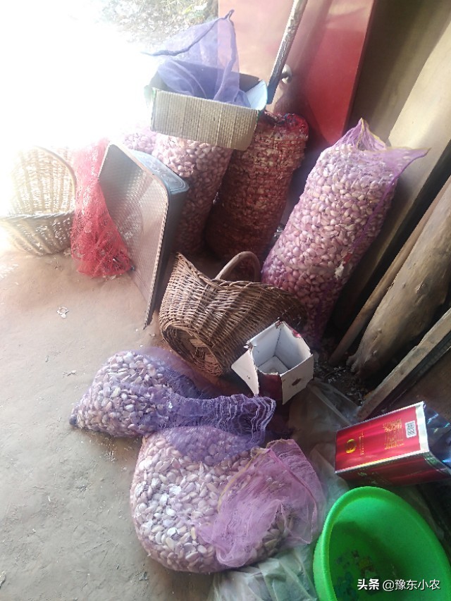 2019大蒜减产,2019年大蒜行情总结