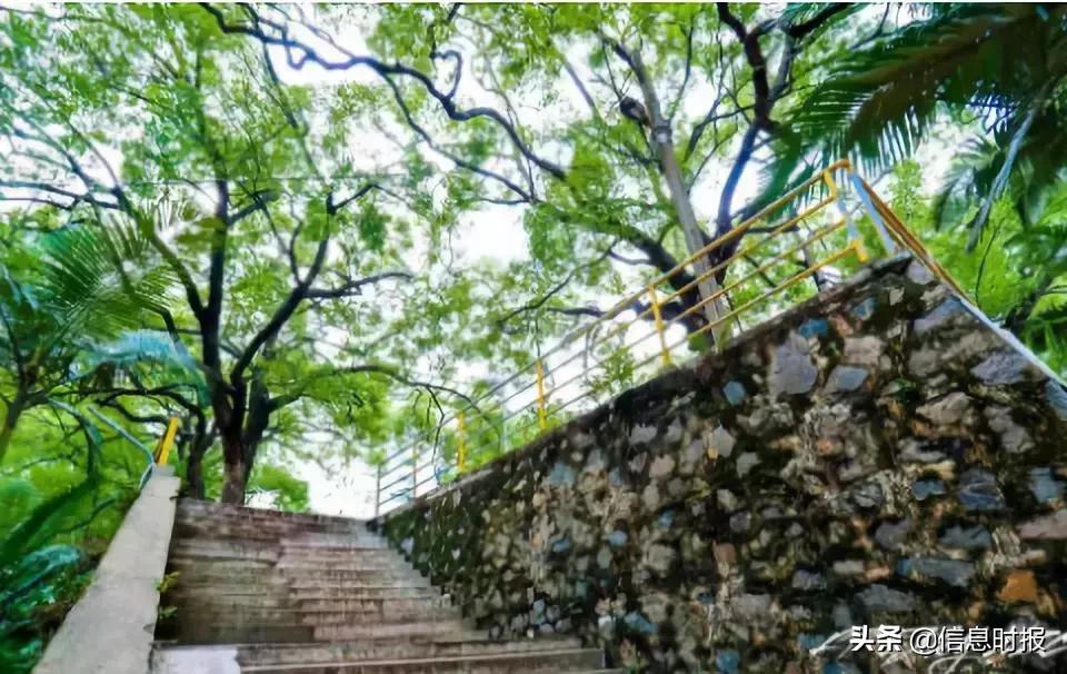 广州交通大学拨款筹建,投资100亿广州交通大学