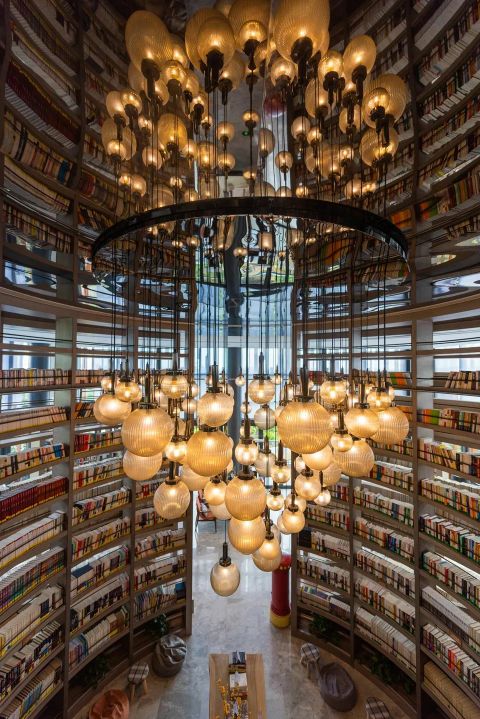 鍚櫤澧炴収鍥烘湰寮哄熀,鍚櫤澧炴収鎺ㄨ崘鐞嗙敱