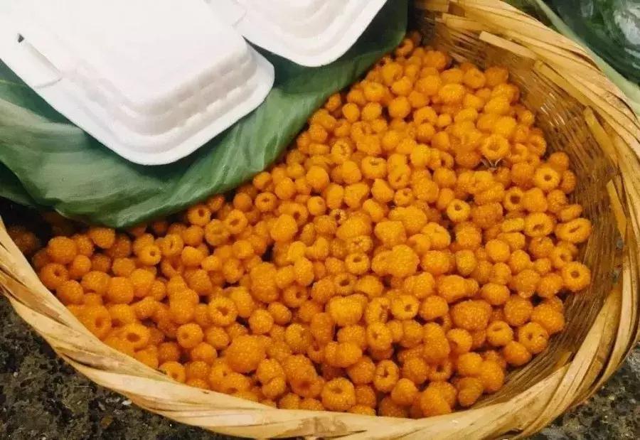 西双版纳这些奇特的水果,作为吃货的你都吃过哪些