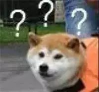 女星用自己胎盘当补药，揭秘人体胎盘｜Youth予小希观察