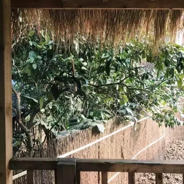 90后小伙花100万造房子,90后小伙花几千元装修500个平方