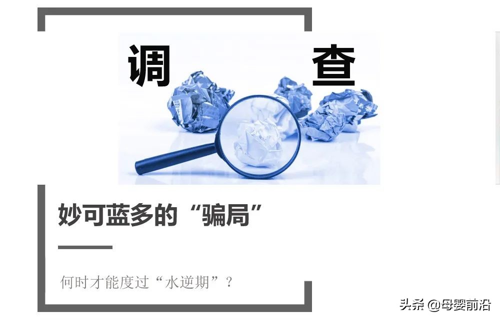 妙可蓝多团队,妙可蓝多芝士碎