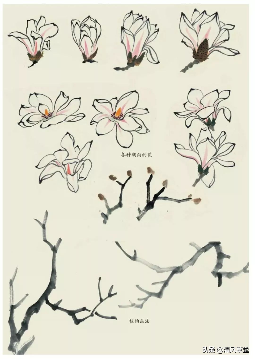 少儿国画花卉画法视频,各种花卉的100种画法