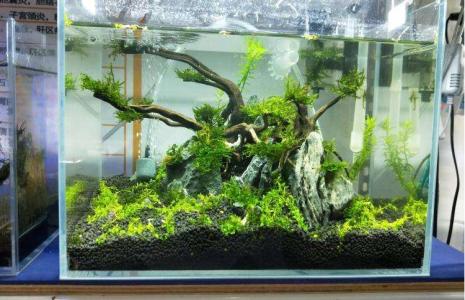 自制鱼缸外过滤系统,鱼缸隔离板自制教程