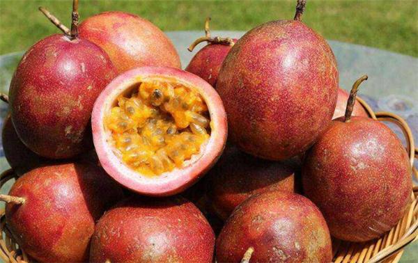 南方十大名水果,北方人绝对没吃过的六种水果