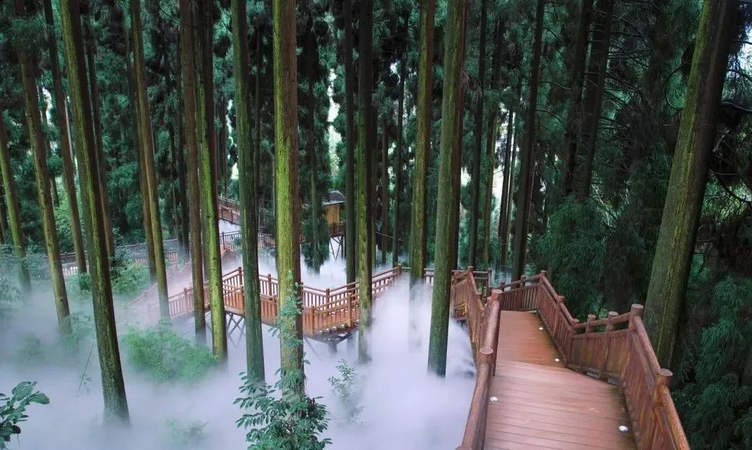 四川普贤菩萨攻略,四川峨眉山普贤菩萨最灵的寺庙