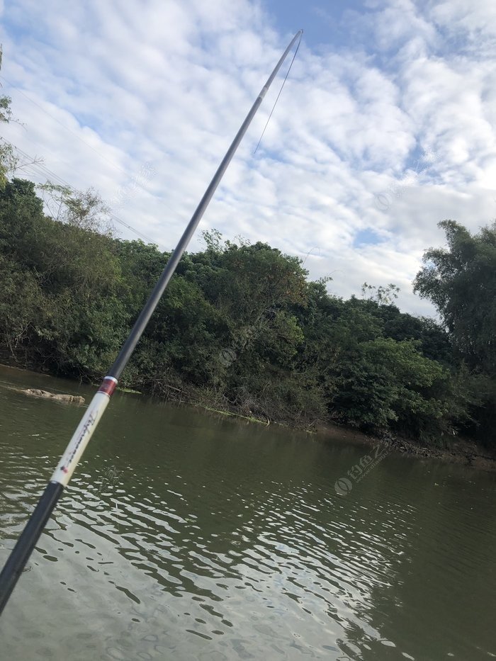 水底小鱼多就会没大鱼,自然水域没鱼情