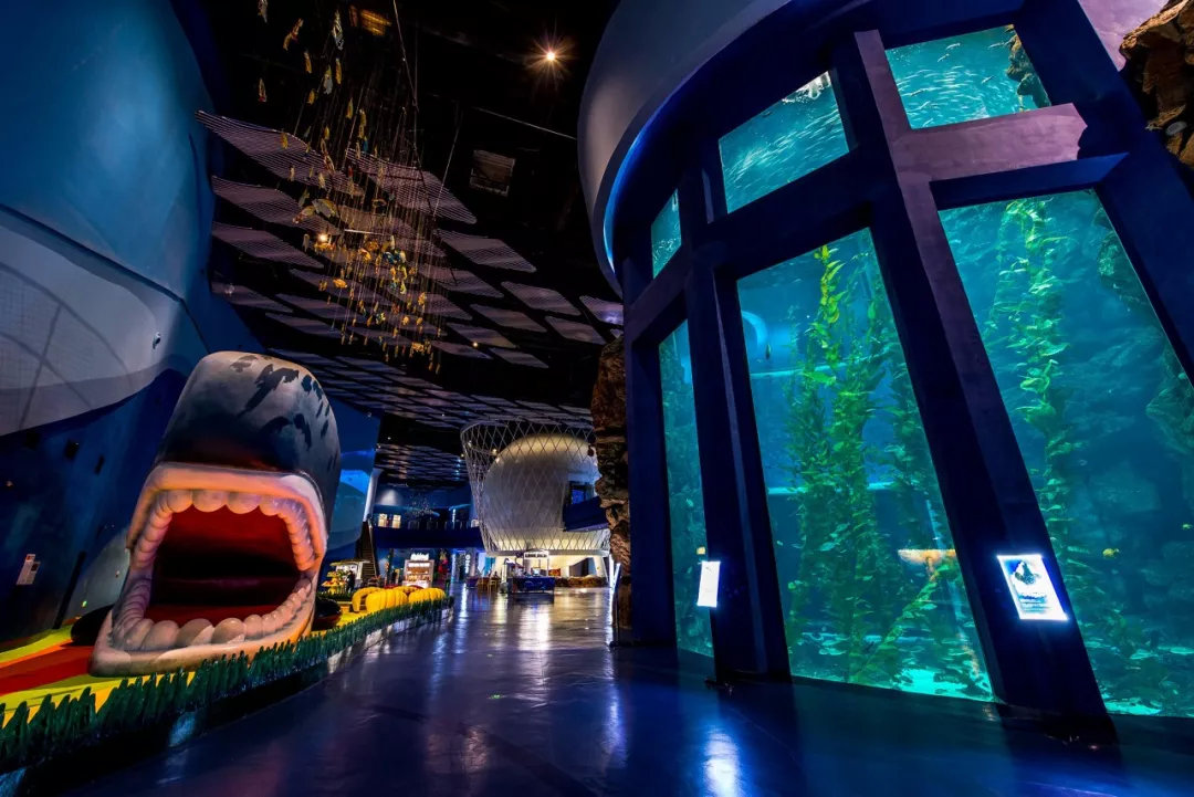 万达营运能力分析论文,万达到底做过什么贡献