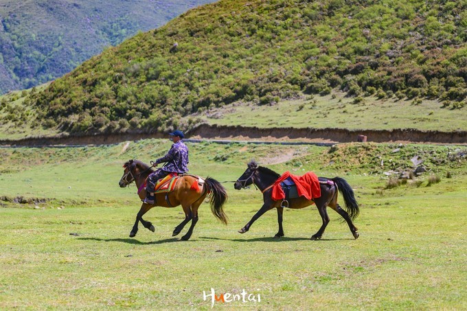 六盘水红军长征纪念馆,六盘水乌蒙山草原避暑