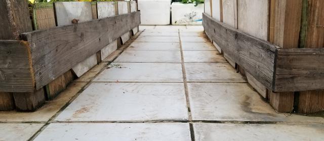 为什么要在天台种菜,天台种菜合适吗