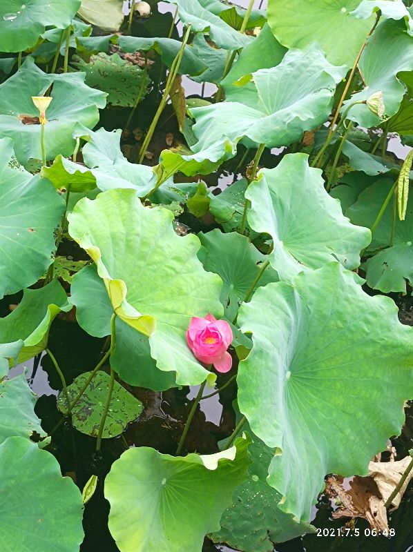 一个人不成熟的四种表现,一个人成熟的标志接受自己的不足