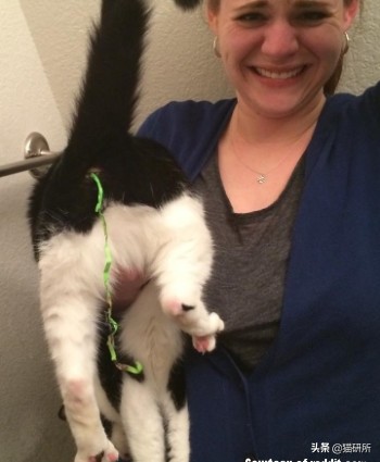 10张让人不寒而栗的图片,猫咪x光正常图片