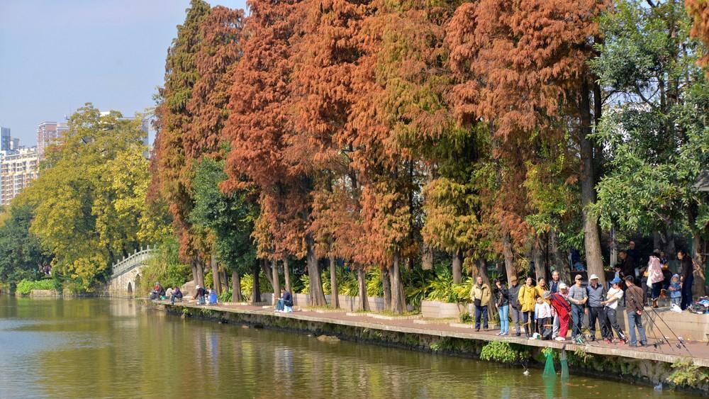 羊城八景景点,羊城八景之首在哪里