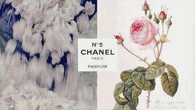 chanel香水no5经典,每个女人都想要的香奈儿