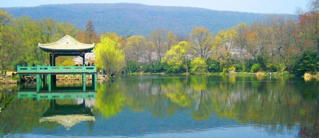 灵谷寺萤火虫7月,灵谷寺萤火虫目前还有吗