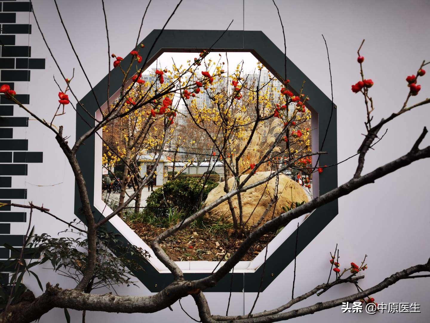 男子高烧38度针灸变成35.6度,男子高烧40度怎么办