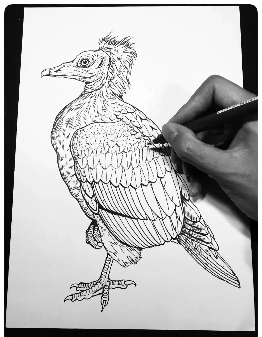 最简单的针管笔,如何练好针管笔