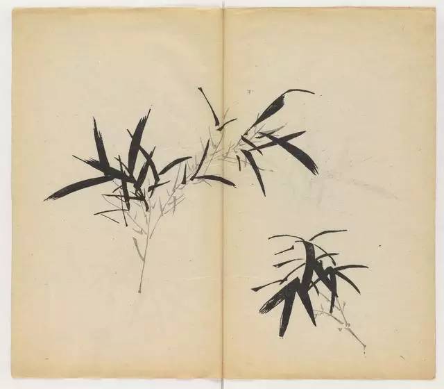 毛笔怎么画兰草,怎么画兰花和书法