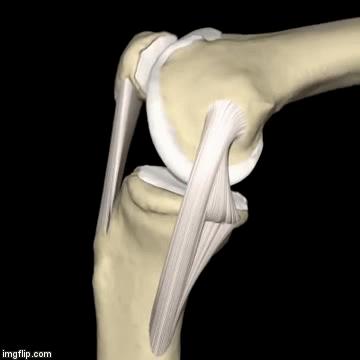 髌骨软化上下楼膝盖不痛正常吗,膝盖疼说是髌骨软化怎么办