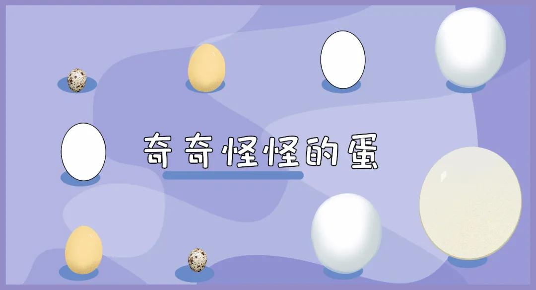 鸡蛋鸭蛋鹅蛋鸵鸟蛋哪个更有营养,鸡蛋鸭蛋鹅蛋鸵鸟蛋的大小对比