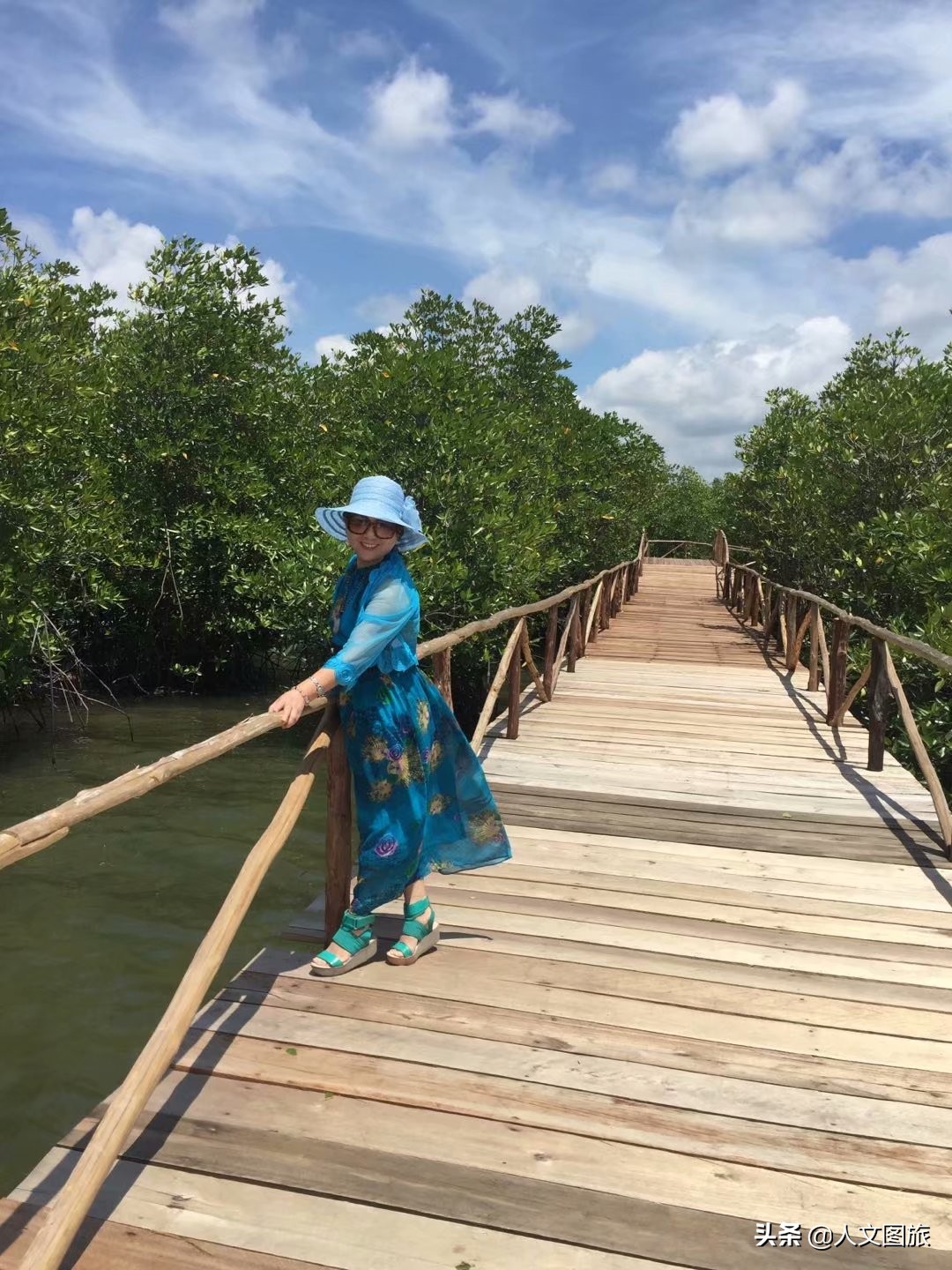 印度尼西亚松巴岛红树林,印度尼西亚的红树林牛角螺