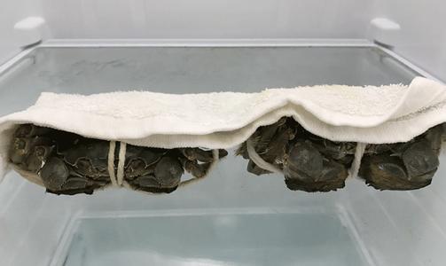 大闸蟹蒸熟了放冰箱能保存多久,大闸蟹冰箱保存方法用泡沫箱