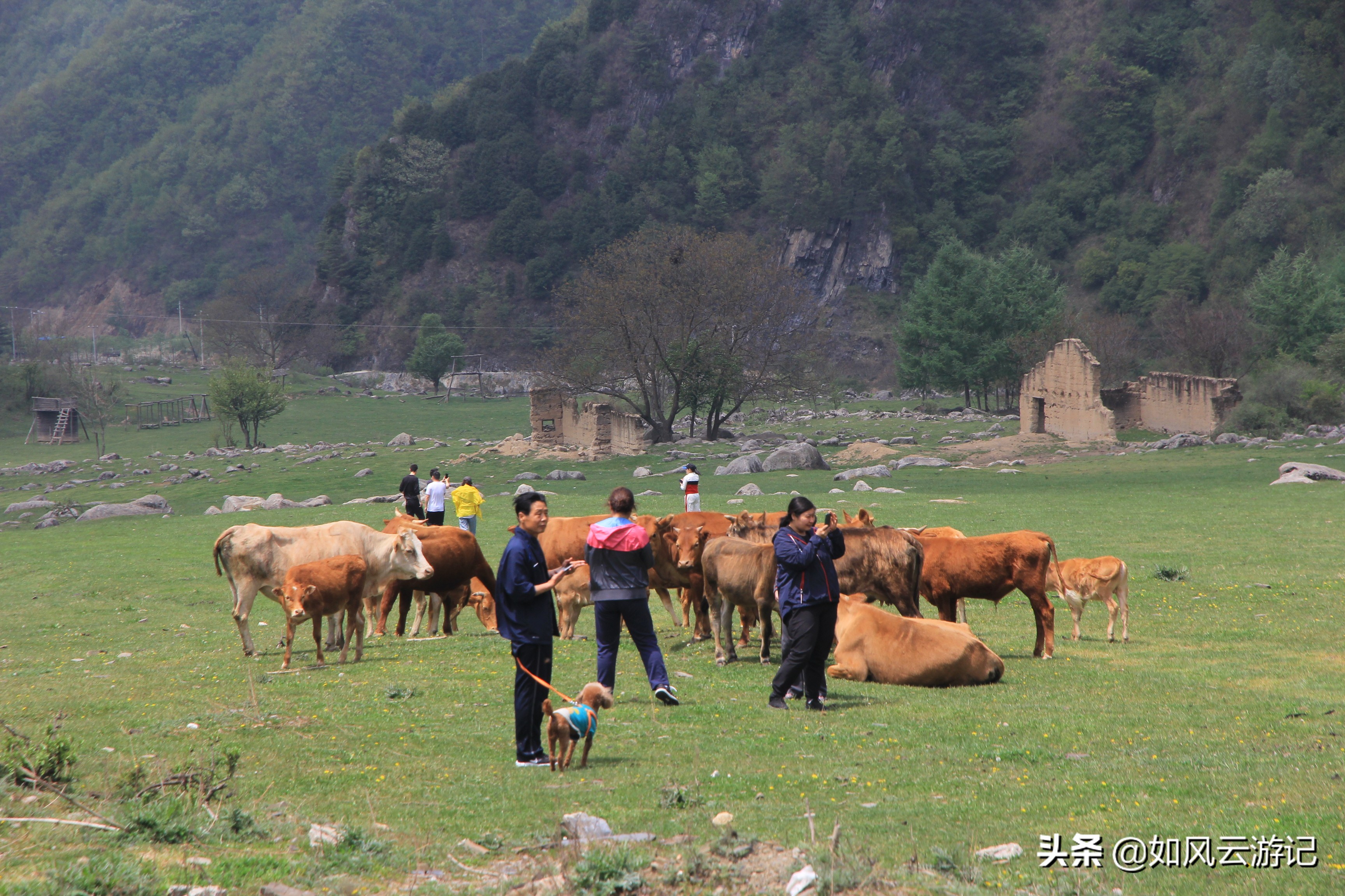 这条连云栈道“弓背线”火烧店—庙台子奇景传说诸多，闺藏深山中