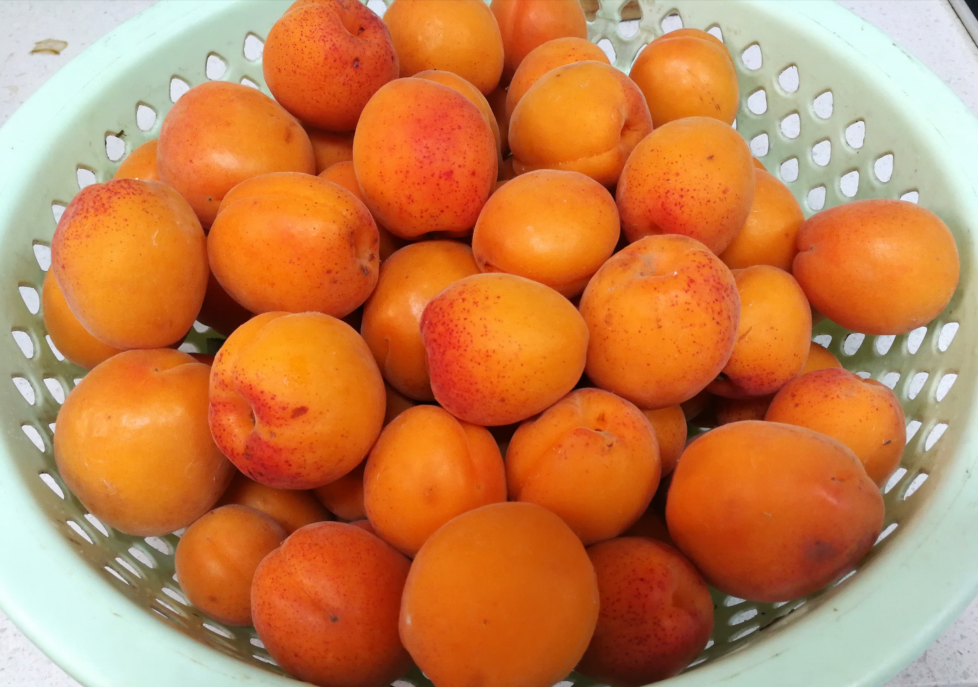 吃杏肉减肥吗,杏吃了可以减肥吗