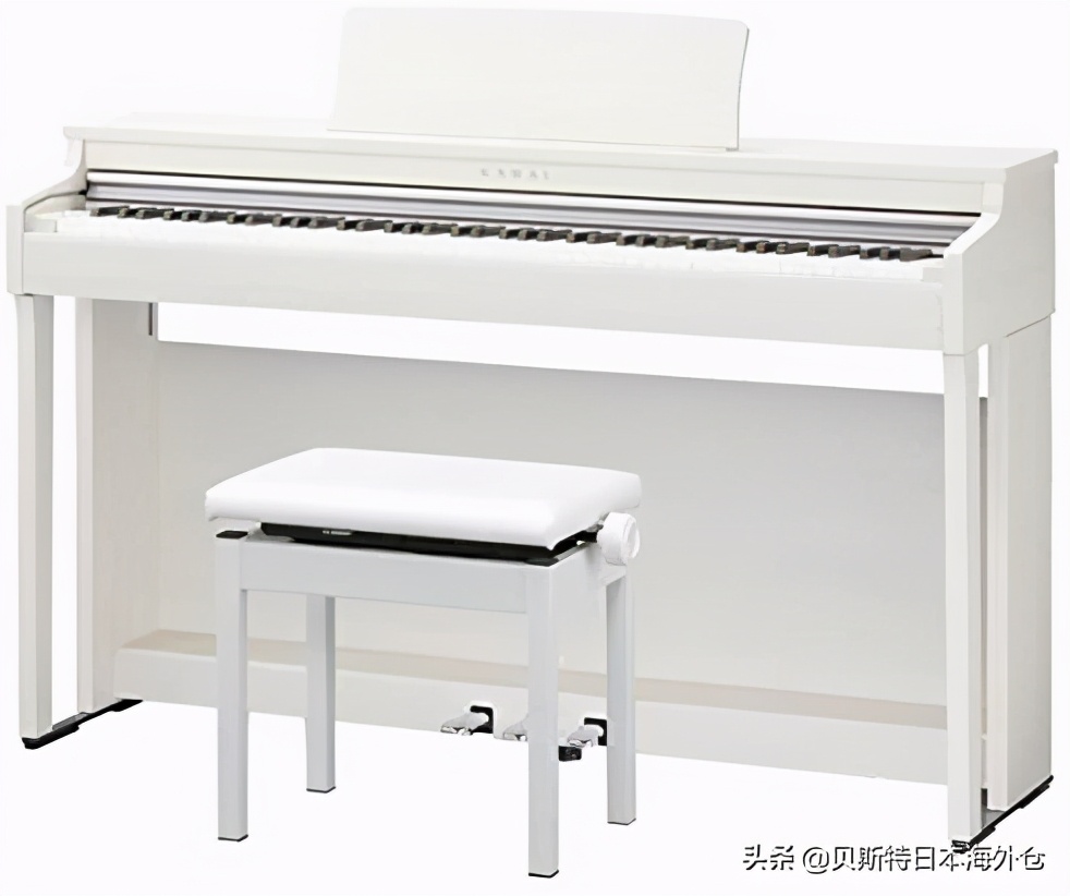 2022电子琴上榜品牌,日本电子琴推荐