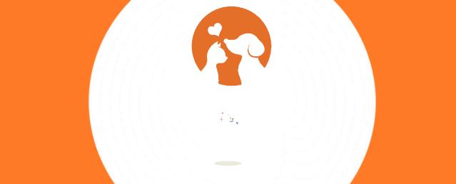 棣欓鐨勫皬鐚挭鍥剧墖,棣欓鐨勫皬鐚挭閰嶉煶