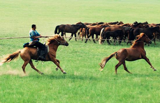 距今1.1万年前，中国人在西班牙卖麻绳网，写下“网”字