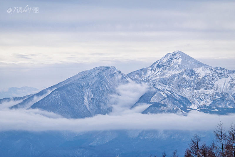 日本东京一日游攻略详细,日本东京五日游最佳路线图