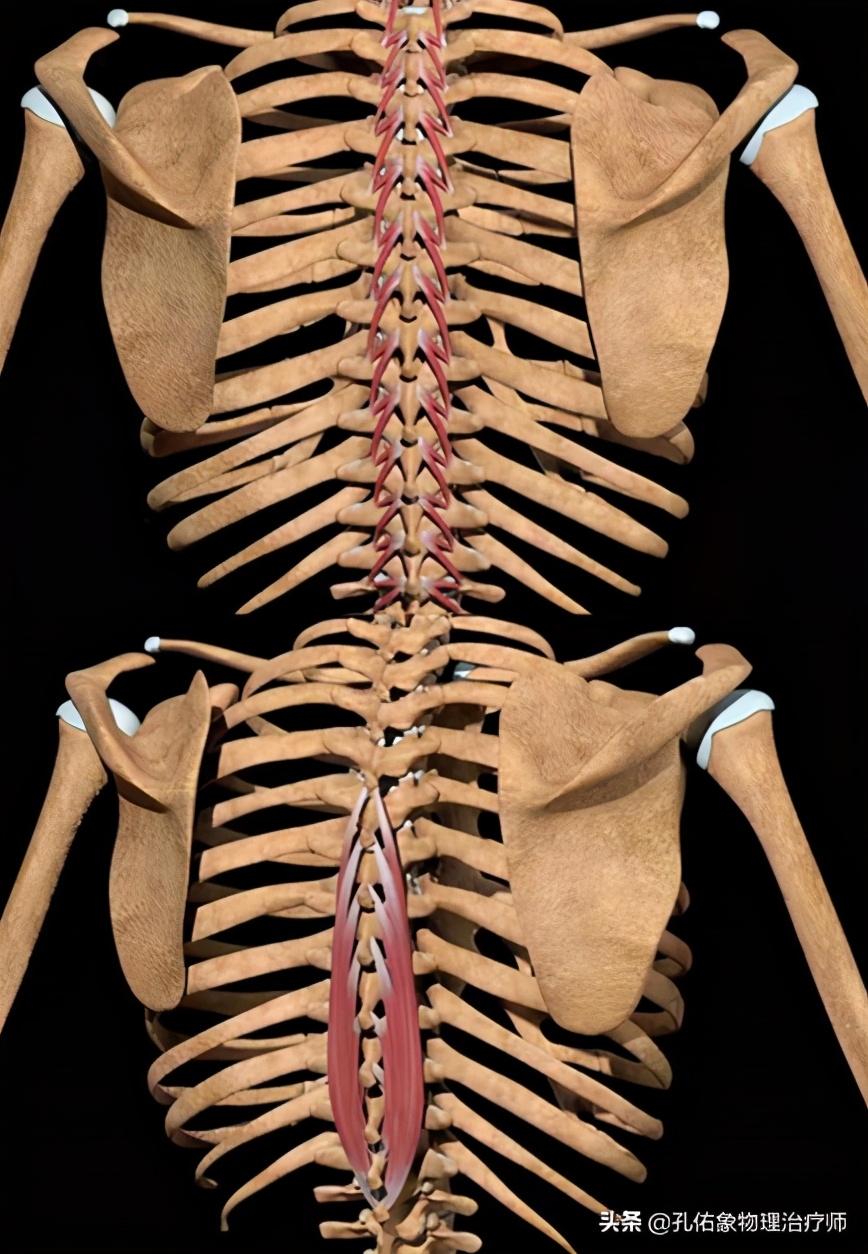 胸和肩胛骨疼痛是什么原因,右胸和后背肩胛骨疼痛是什么原因